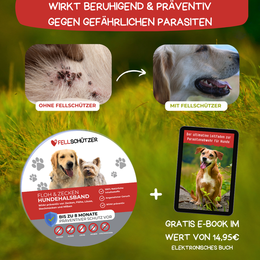 Fellwelt - 100% Natürliches Zeckenhalsband für Hunde
