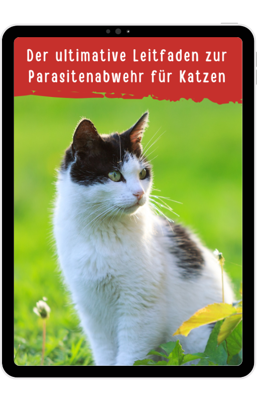 Tipps zur Parasitenabwehr für Katzen - Elektronisches Buch
